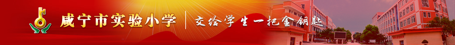 华体会平台